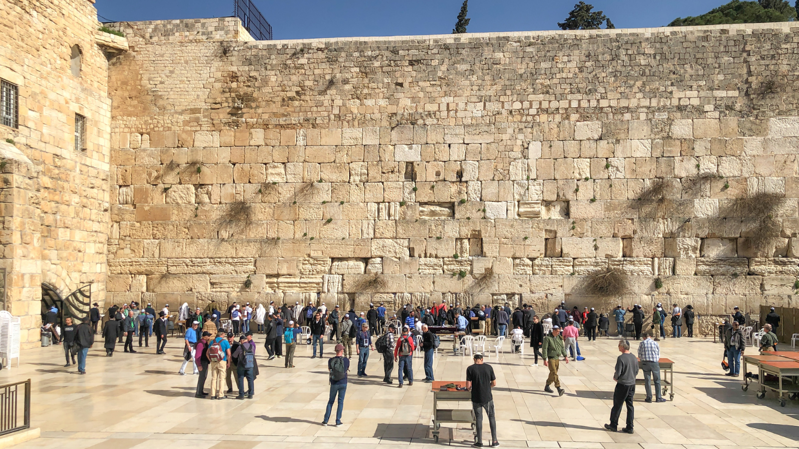 סליחות בכותל